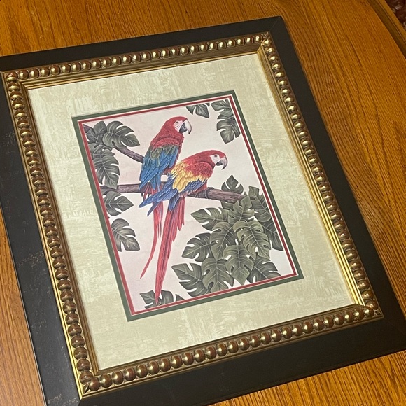 Parrot Artwork - Picture 1 of 8